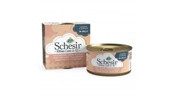 Без названия