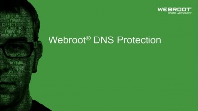 Webroot DNS Protection with GSM Console, 1 year(s), License quantity 10-99 user(s)