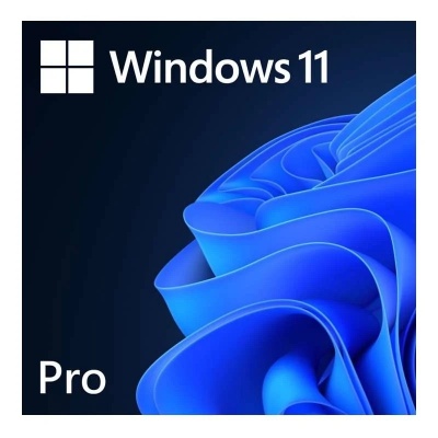 Microsoft FQC-10572 Win 11 Pro 64-Bit All Lng 1pk ESD