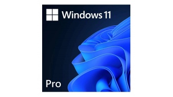 Microsoft FQC-10572 Win 11 Pro 64-Bit All Lng 1pk ESD