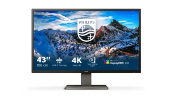 Philips | P Line | 439P1/00 | 43 " | VA | 4K UHD | 16:9 | 60 Hz | 4 ms | 3840 x 2160 | 400 cd/m² | Headphone output | HDMI ports quantity 3 | Warranty 36 month(s)