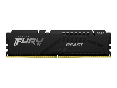Kingston | 32 GB | DDR5 | 5600 MHz | PC/server | Registered No | ECC No