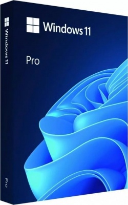 Microsoft | Windows 11 Pro | HAV-00163 | English | FPP | USB | 64-bit