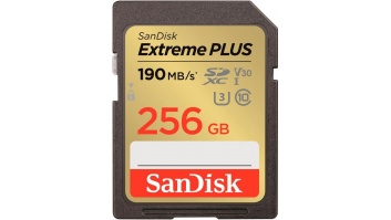 MEMORY SDXC 256GB UHS-1/SDSDXWV-256G-GNCIN SANDISK