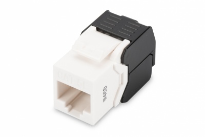 Digitus