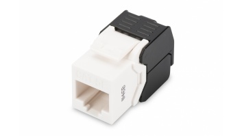Digitus