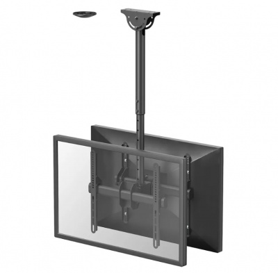 Neomounts NM-C440DBLACK Monitor/TV mount ceiling 2 screens - 32-60" - max 45 kg/screen - VESA 200x200-400x400 - h 56-91 cm - black
