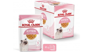 Royal Canin FHN Kitten Instinctive in jelly - wet food for kittens - 12x85g | Royal Canin