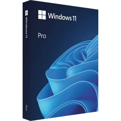 Microsoft® Win Pro N FPP 11 64-bit All Languages Online Product Key License 1 License Downloadable ESD NR | Microsoft