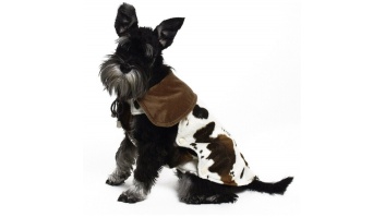 Без названия