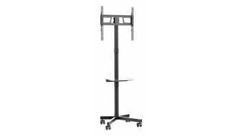 TV SET ACC FLOOR STAND 32-55"/TVS-55T-03 GEMBIRD
