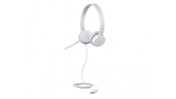 Lenovo | USB Headset | 110 Stereo | Yes | USB Type-A