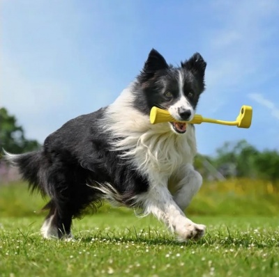 Insta360 | GO 3 Fetch Stick | CINSBBKP