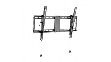 Gembird | Wall mount | Tilt | 37-80 " | Maximum weight (capacity) 70 kg | Black