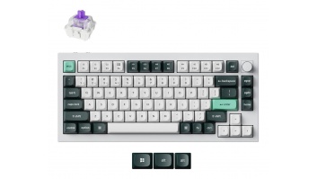 KEYBOARD WRL Q1 HE RGB/SHELL WHITE Q1H-P1 KEYCHRON