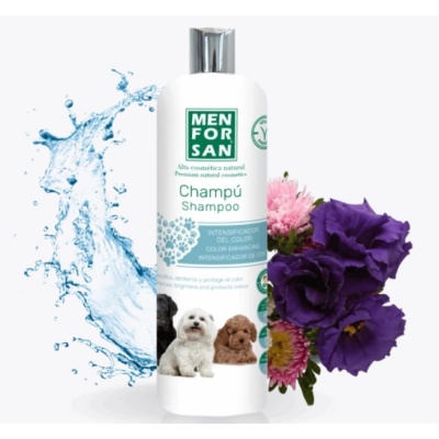 Без названия