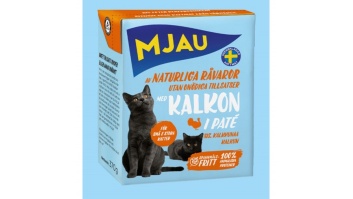 Без названия