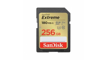 MEMORY SDXC 256GB UHS-1/SDSDXVV-256G-GNCIN SANDISK