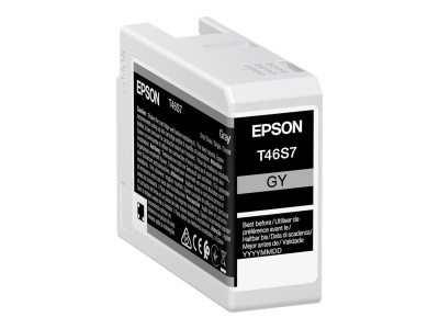 Epson UltraChrome Pro 10 ink | T46S7 | Ink cartrige | Grey