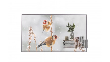 LG 55" Transpared OLED 55EW5P with One:Quick dongle included