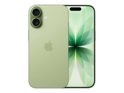 Apple | iPhone 17 | Sage | 6.3 " | 2622 x 1206 pixels | OLED | A19 | Internal RAM 8 GB | 256 GB | Dual SIM | Nano SIM | 5G | Main camera resolution 48 MP | iOS 26 | Secondary camera resolution 48 MP