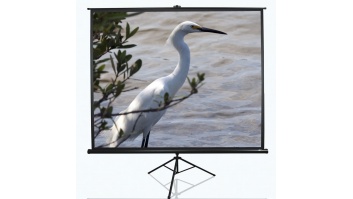 Elite Screens | Tripod Series | T100UWV1 | Diagonal 100 " | 4:3 | Viewable screen width (W) 203 cm | Black