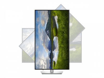 Dell P3225QE | 32 " | IPS | 4K UHD | 16:9 | 100 Hz | 5 ms | 3840 x 2160 pixels | 350 cd/m² | HDMI ports quantity 1 | Warranty 60 month(s)