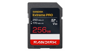 MEMORY SDXC 256GB UHS-1/SDSDXXJ-256G-GSCIN SANDISK