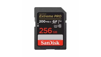 MEMORY SDXC 256GB UHS-1/SDSDXXD-256G-GN4IN SANDISK
