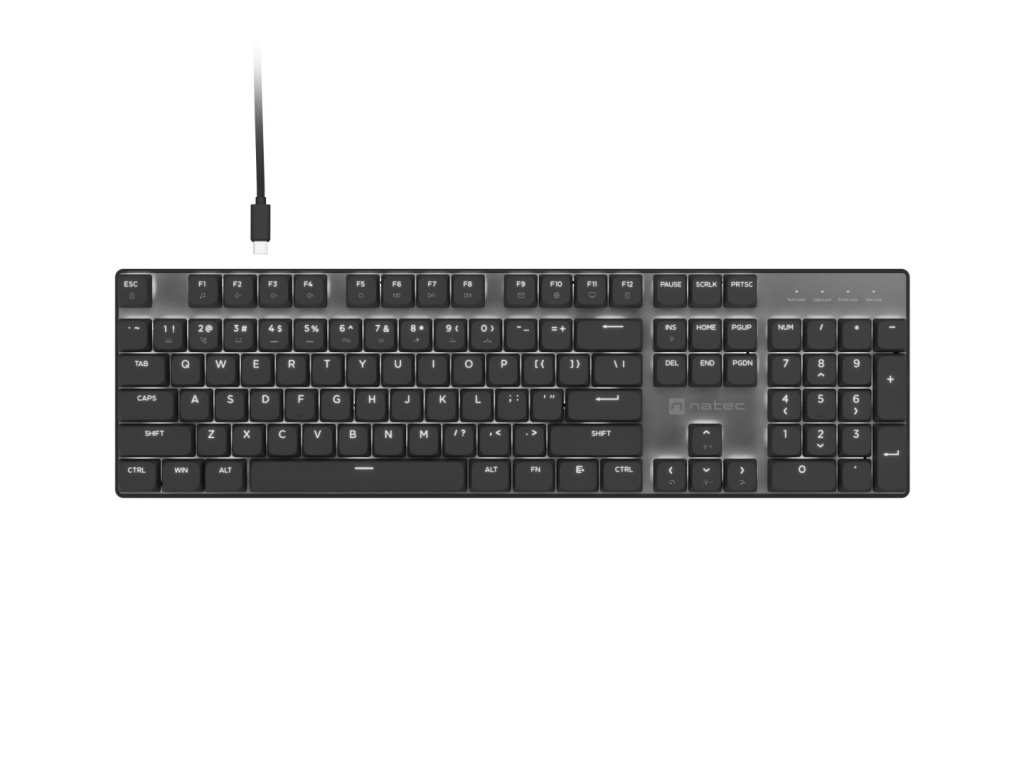 NKL-2391 Natec Amberjack | Keyboard |