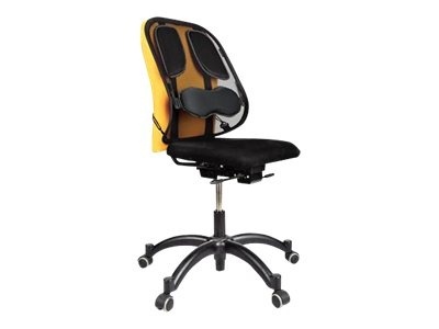 Fellowes | Professional back support with mesh Professional Series | Graphite | Depth 195 mm | Height 370 mm | Mesh textile | Width 304 mm