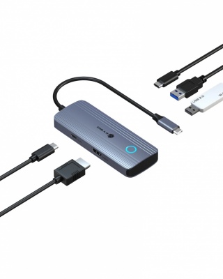 Raidsonic Spade Dock 4081 (Off-Screen Button) | IB-DK4081-SO