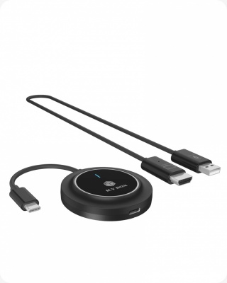 Raidsonic Wireless USB-C to HDMI Video Transmission System | IB-WL101