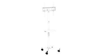 TV SET ACC FLOOR STAND 32-55"/TVS-55T-03-W GEMBIRD